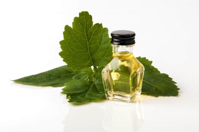 minyak nilam inilah 6 manfaatnya bagi kesehatan fisik dan mental